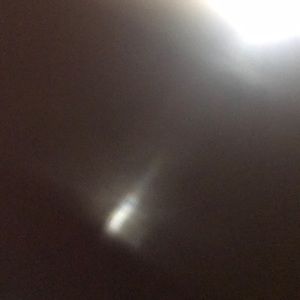 Meet your Posher, Alvin